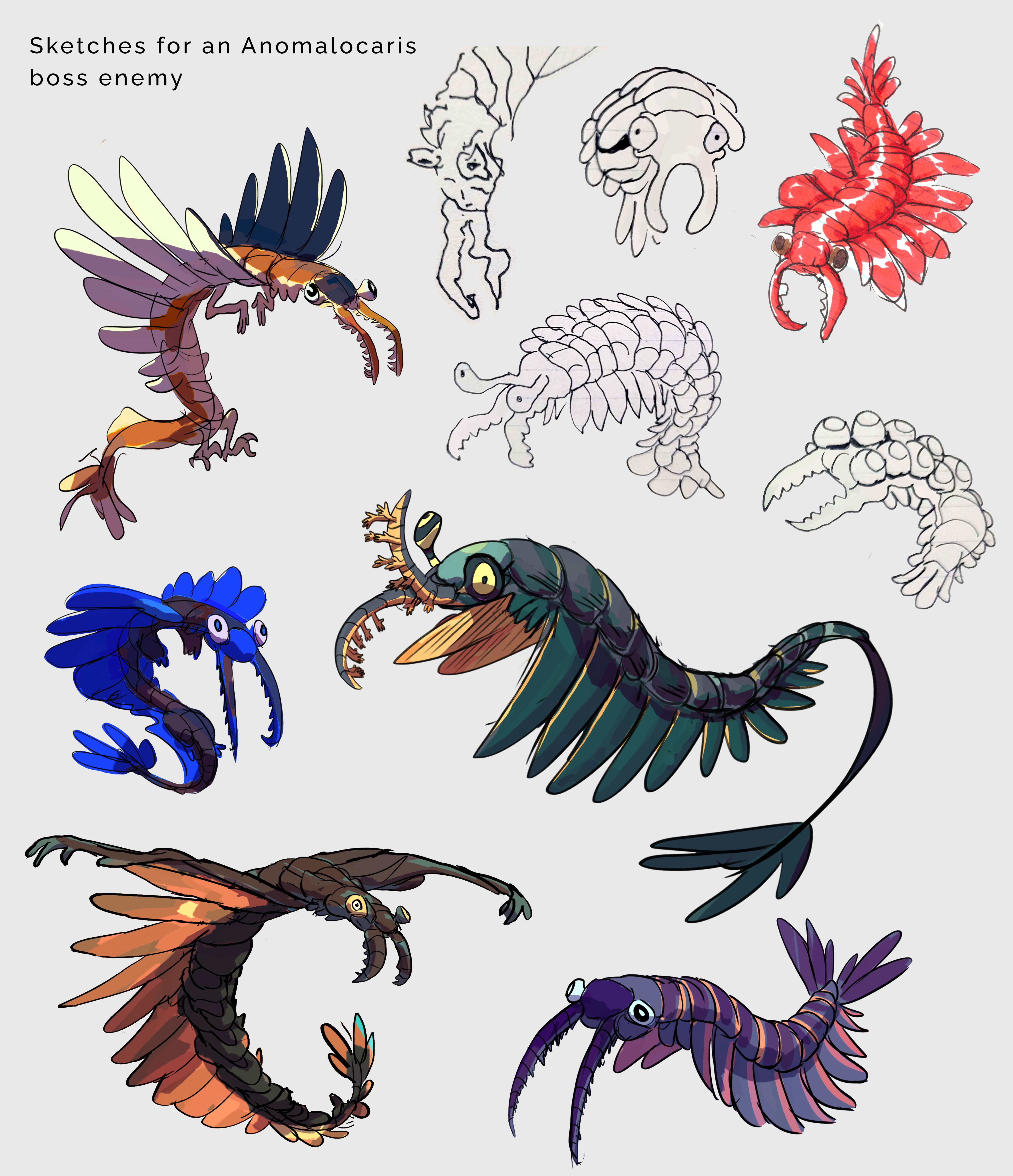 Anomalocaris Based Enemies